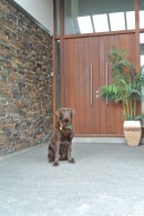 Truffle
