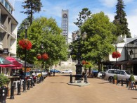 Nelson City