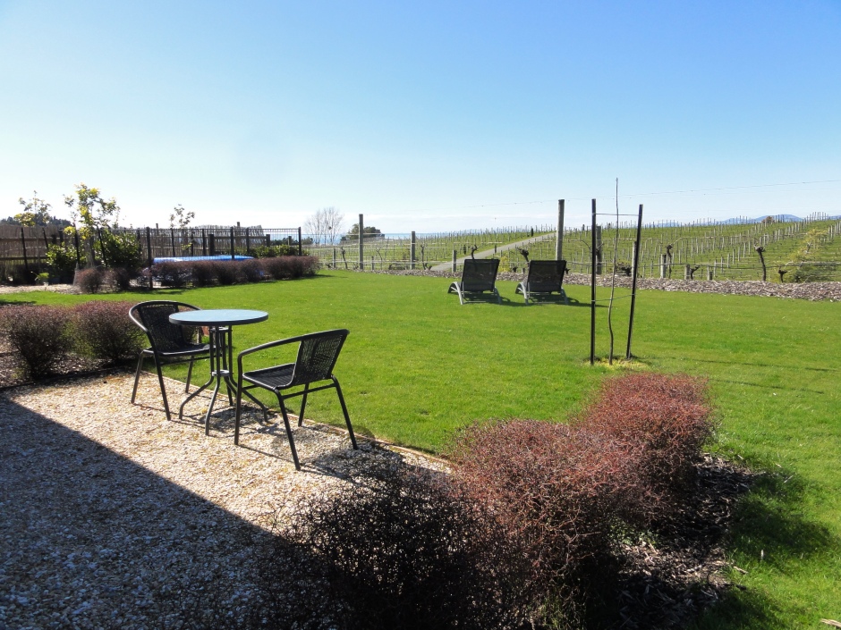 View from Patio