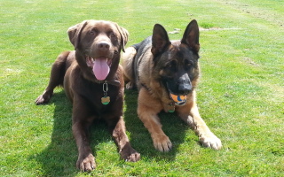 Heads of Entertainment – Truffle & Bacchus